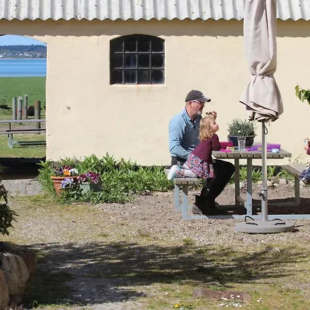 Stutteri Ahl Near And Town Ebeltoft