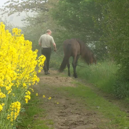 דירה Stutteri Ahl Near And Town אבלטופט
