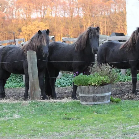 דירה Stutteri Ahl Near And Town אבלטופט