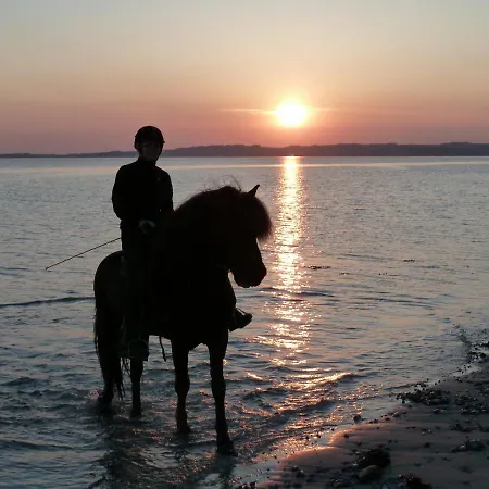 Stutteri Ahl Near And Town *