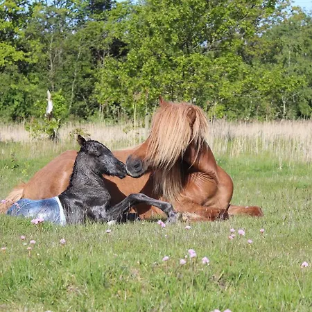 דירה Stutteri Ahl Near And Town *