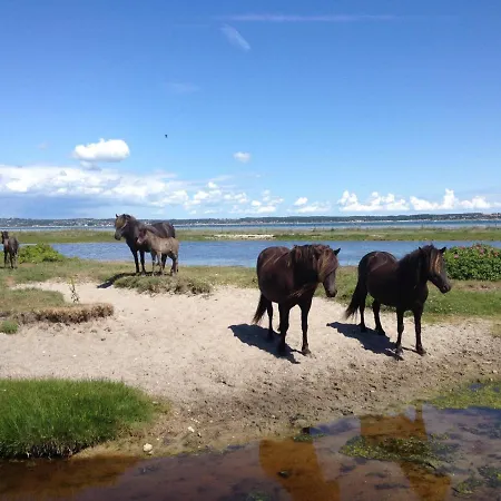 דירה Stutteri Ahl Near And Town *