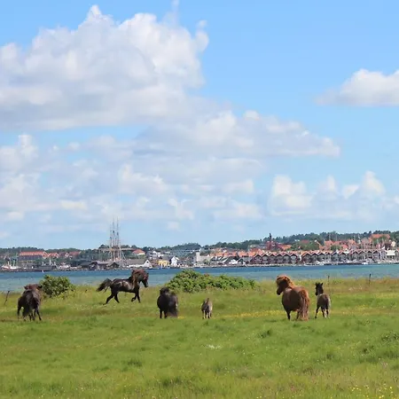 Stutteri Ahl Near And Town * אבלטופט